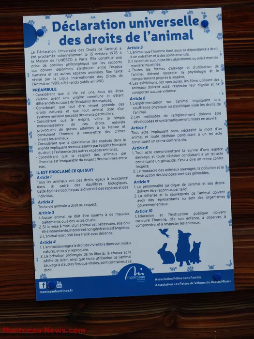 plaque-animaux-31082452