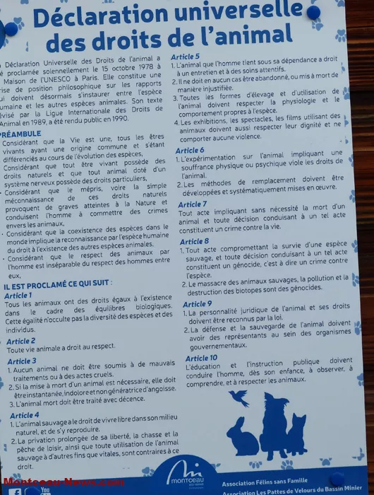 plaque-animaux-31082453