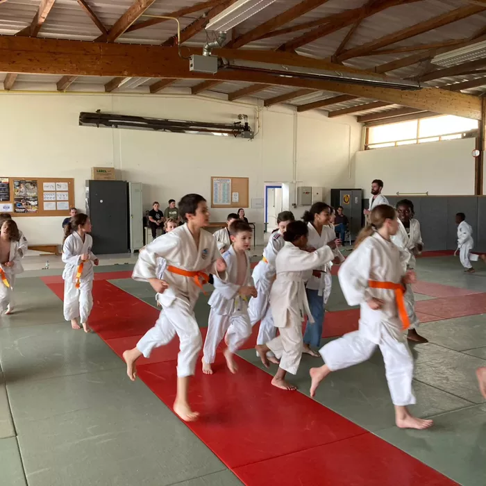 ad-judo-0509243