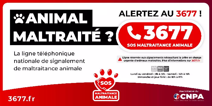 animaux-nelly-2809248