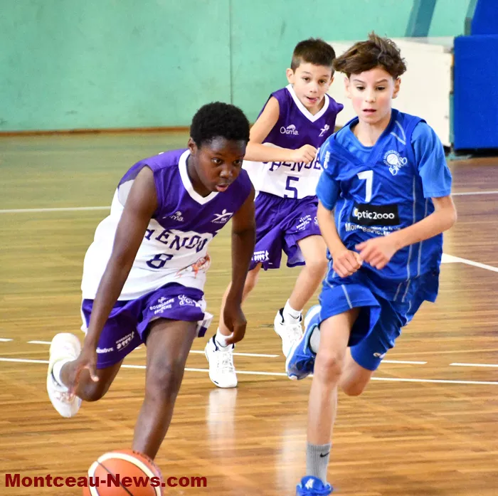 basket-montceau-1709246