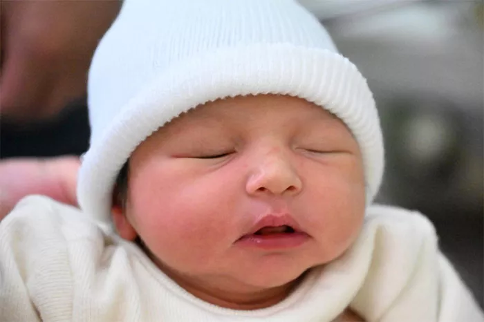 bebe-daniel-2909243