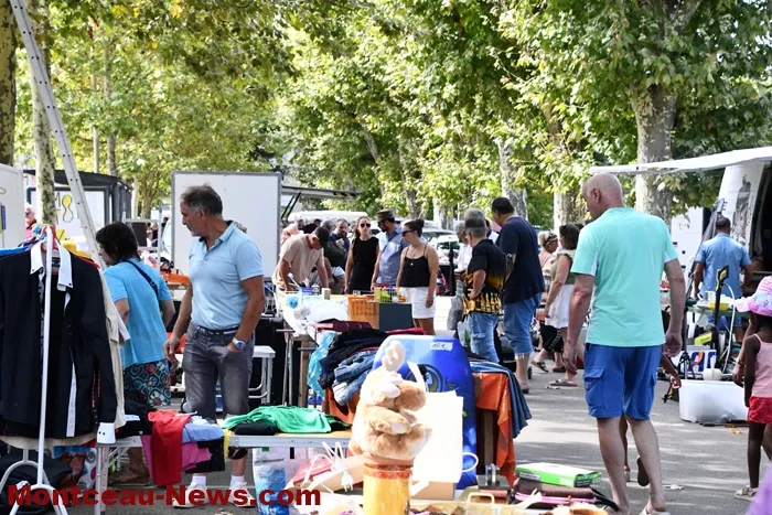 bouquinerie-02092410