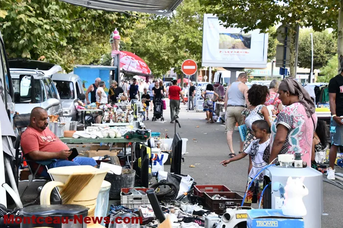 bouquinerie-02092417