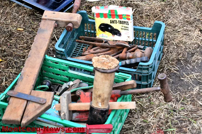 broc-basket-09092411