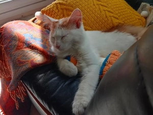chat-210924