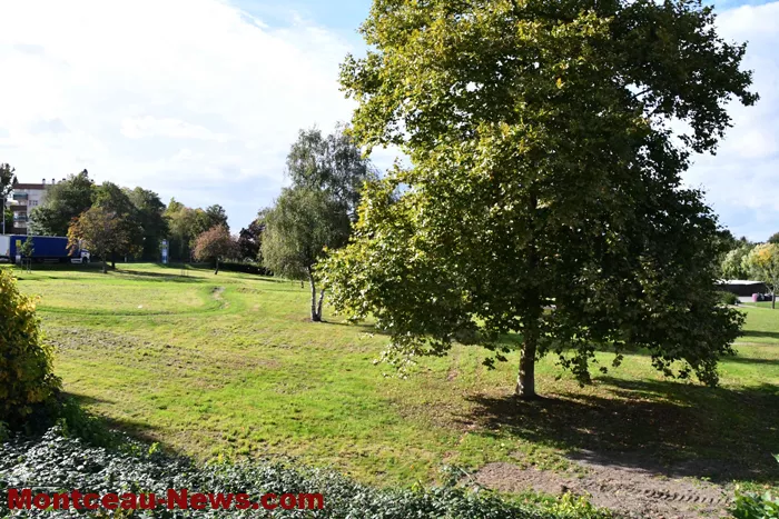illustratiolam-pont-3009241