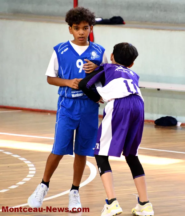 plateau-basket-17092419
