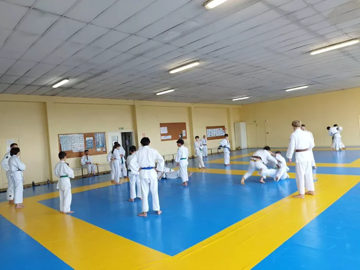 ad judo-2610246161026