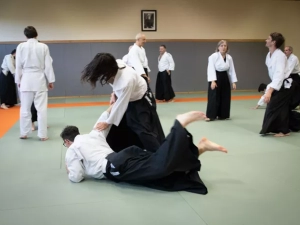 aikido-271014161025