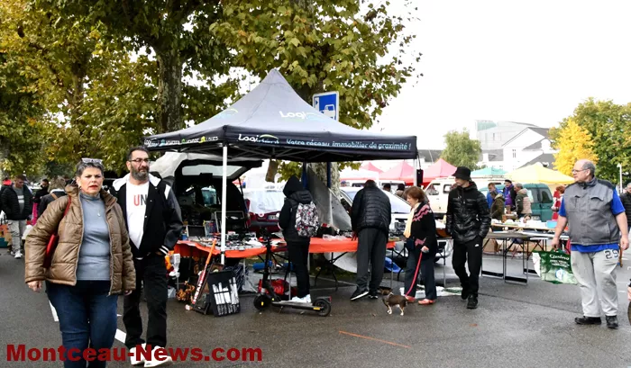 broc-bouk-0710245