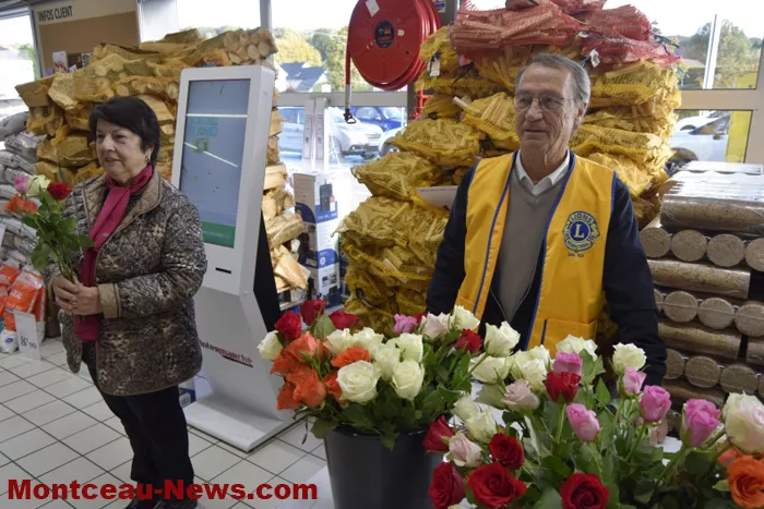 lions-roses-201024161034