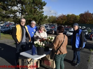 lions-roses-201024161043