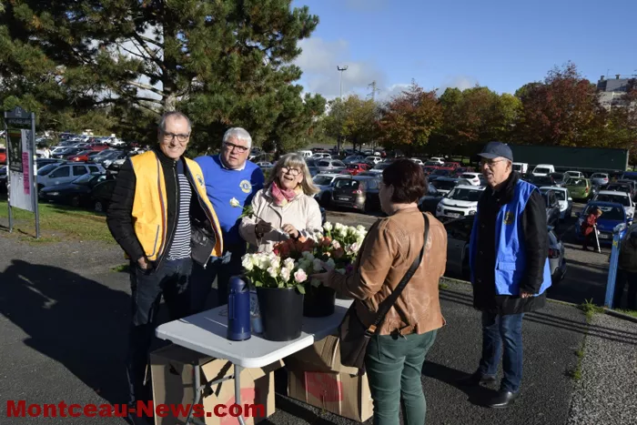 lions-roses-201024161043