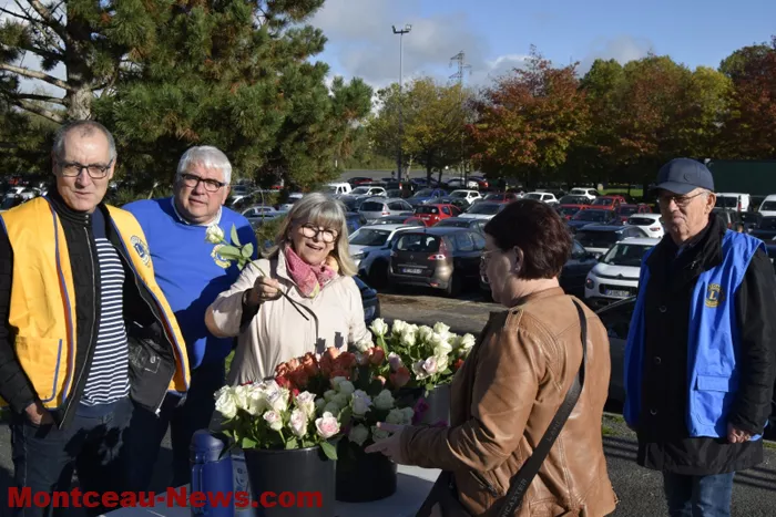 lions-roses-201024161044
