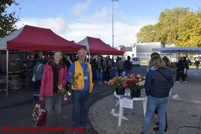 lions-roses-201024161045