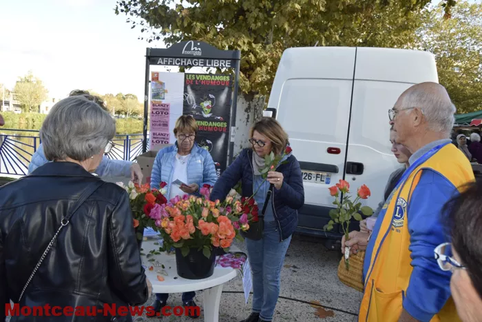 lions-roses-201024161048