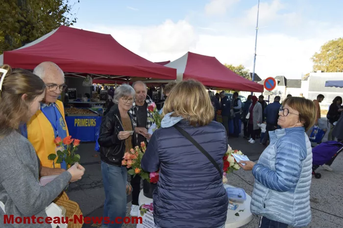 lions-roses-201024161049