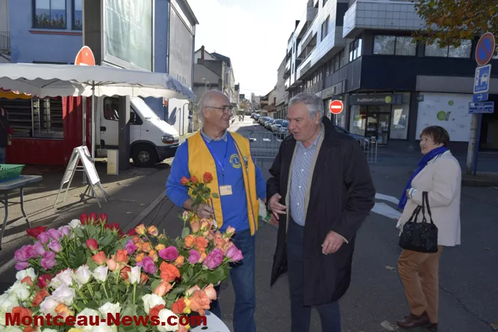 lions-roses-201024161053