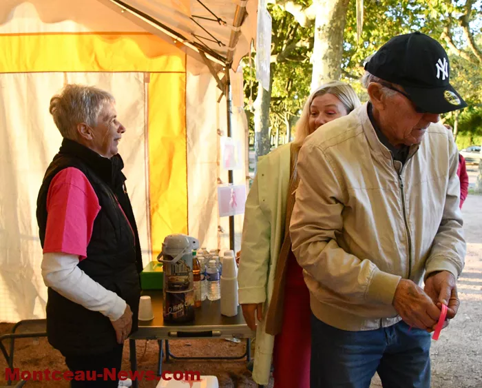 marche-hirondelles-1210241