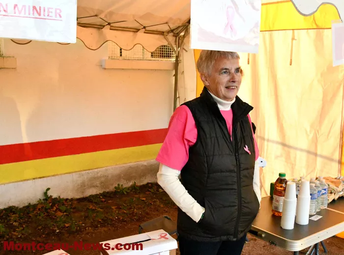 marche-hirondelles-12102415