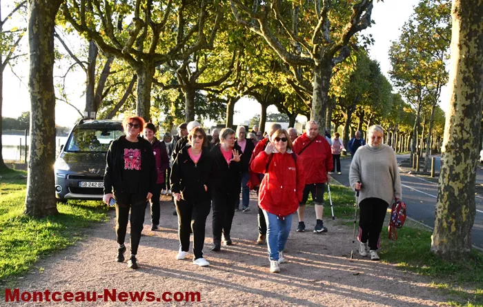 marche-hirondelles-1210244
