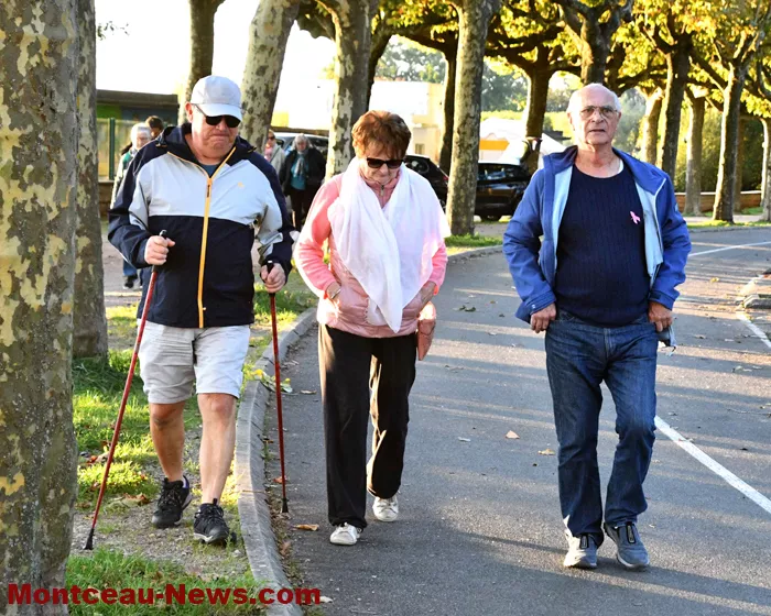 marche-hirondelles-1210246