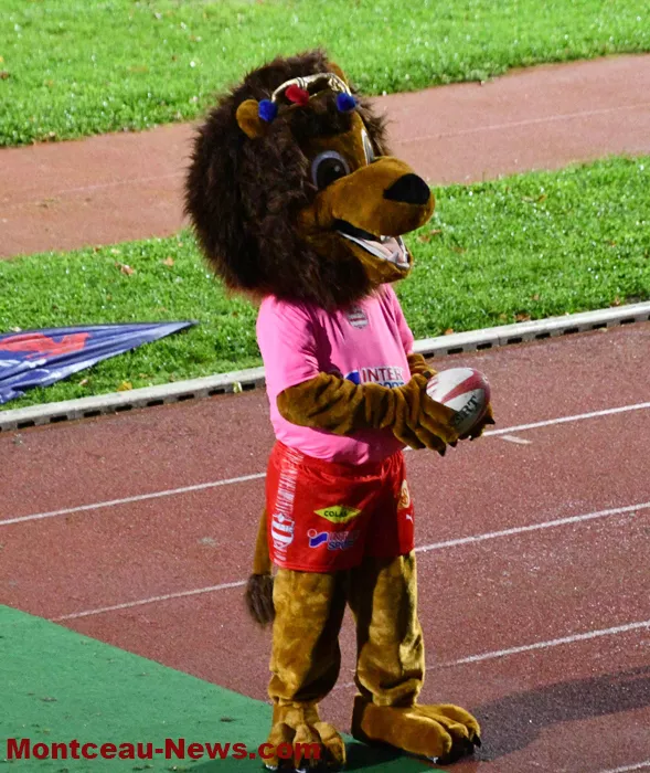 rcmb-1310242
