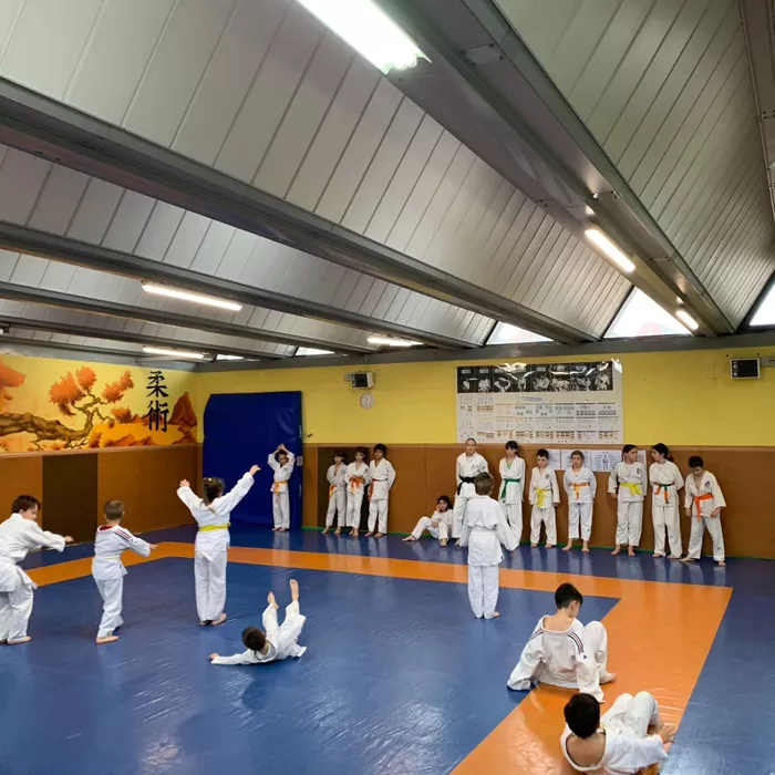 ad-judo-061124161026