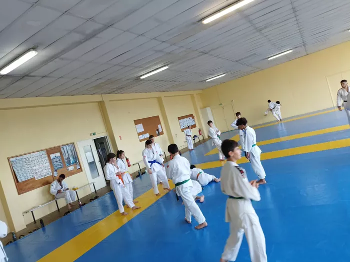 ad-judo-mont-041124161027