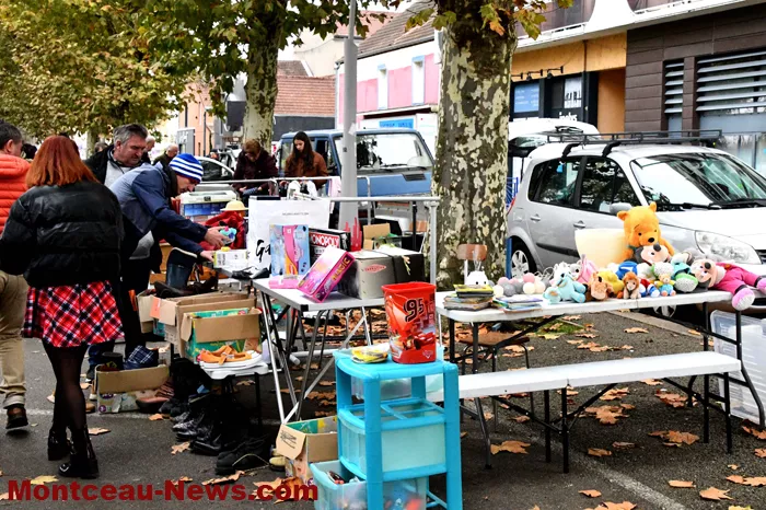 bouquinerie-041124161026