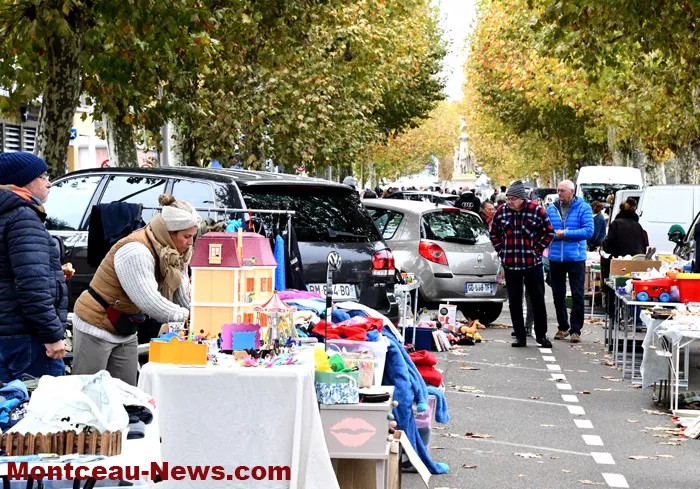 bouquinerie-041124161028