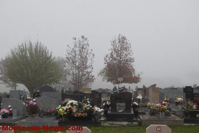 cimetiere-011124161058