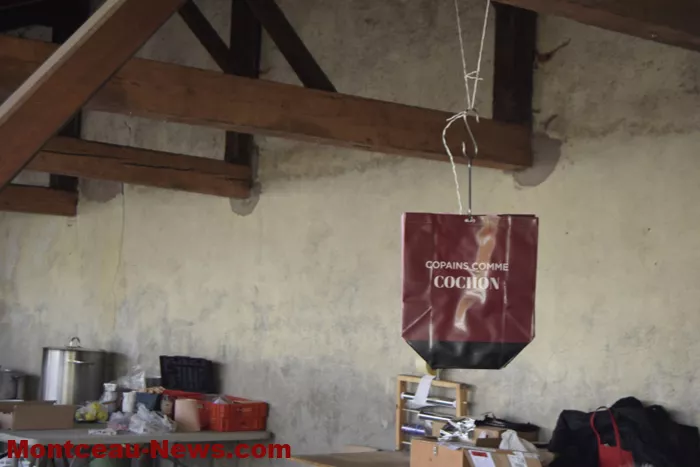 fete-cochon-251124161031