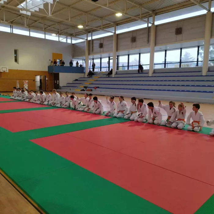 judo-181124161030