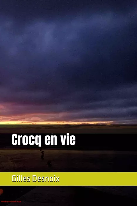 livre-gilles-desnoix-051124161025