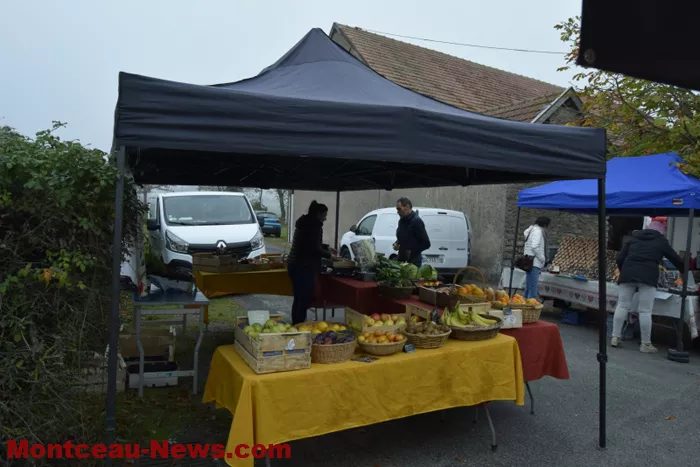 marche-sanvignes-011124161026