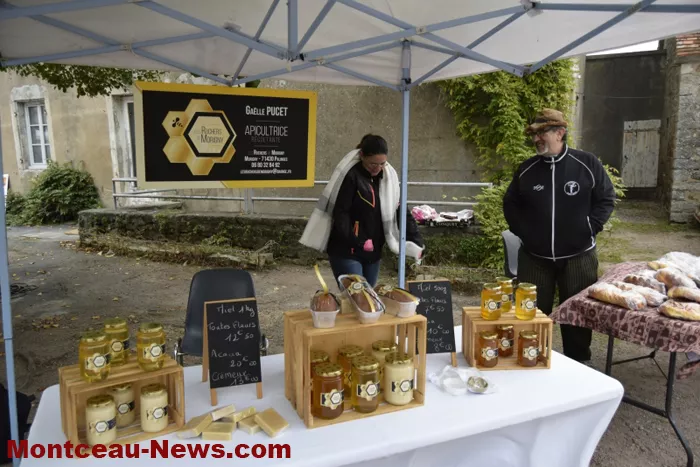 marche-sanvignes-011124161033