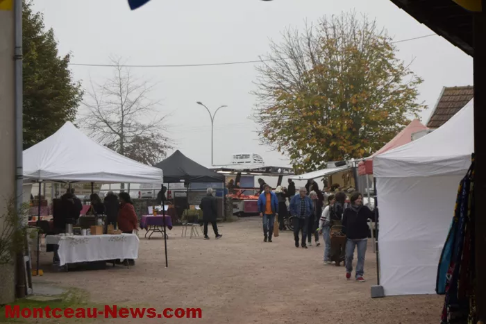 marche-sanvignes-011124161068
