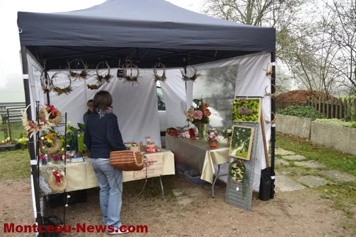marche-sanvignes-011124161072