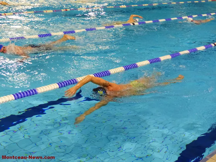 piscine-telethon-301124161044