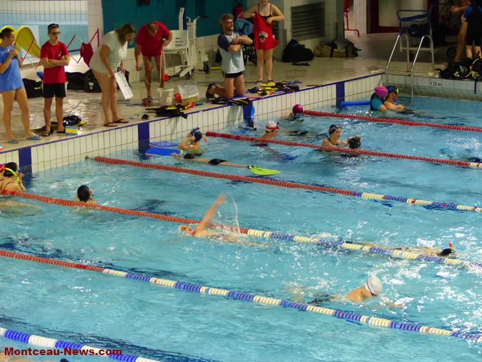 piscine-telethon-301124161050