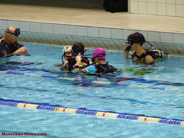 piscine-telethon-301124161064