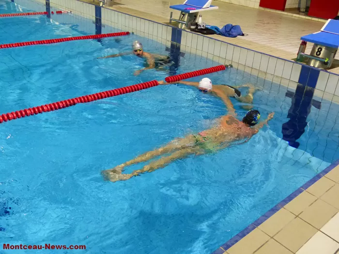 piscine-telethon-301124161068