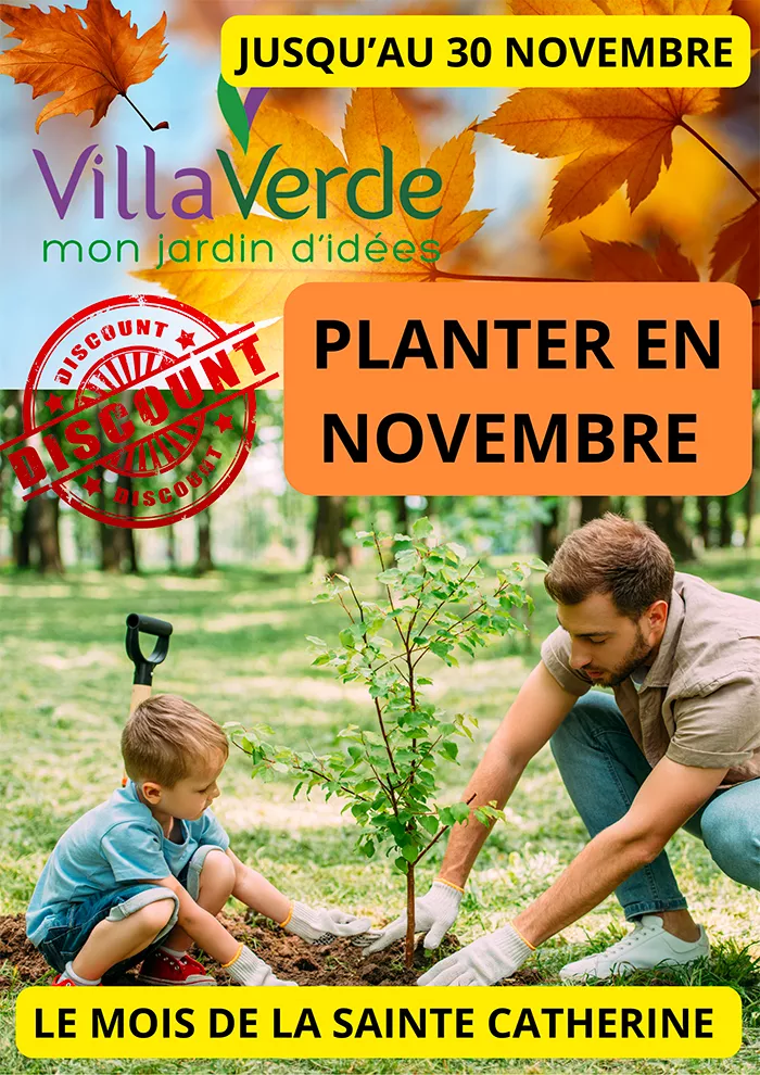 villa-0611241