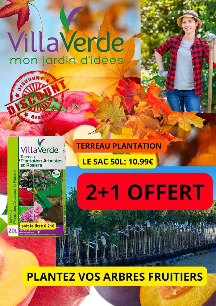 villa-0611242