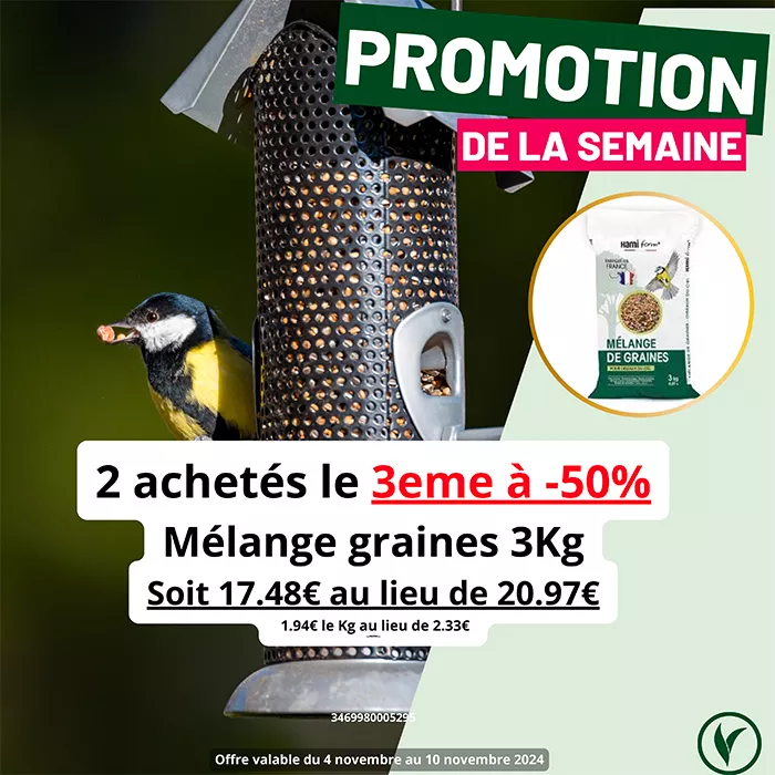 villaverde-animaux-061124
