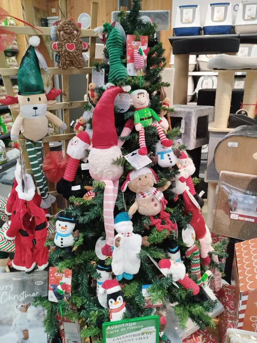 villaverde-cadeaux-animaux-241124161030