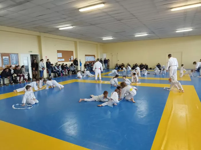 ad-judo-111224161025