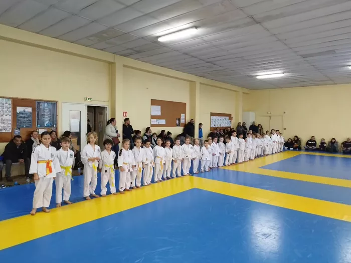 ad-judo-111224161026